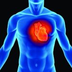 Con người có thể điều khiển được trái tim