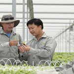 Chuyên gia Nhật bày cách nâng thu nhập cho nông dân Việt