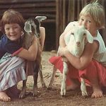 Vi khuẩn bảo vệ trẻ em khỏi bệnh hen suyễn