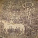 Ngựa “thần thánh” ở miền Tây nước Mỹ được sử dụng sớm hơn nửa thế kỷ so với suy nghĩ trước đây