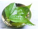 Chữa cảm cúm cho trẻ bằng thuốc nam