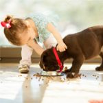 Trẻ dưới 1 tuổi tiếp xúc với chất gây dị ứng sẽ giảm nguy cơ bị hen suyễn
