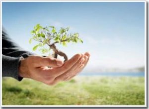 Bước tiến mới của sự quang hợp nhân tạo