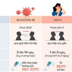 Triệu chứng nhiễm BA.5 khác cúm A, sốt xuất huyết thế nào?