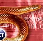 Cuộc tấn công của sâu IM tự động là điều khó tránh