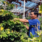 Giải pháp mới đem lại niềm vui cho người trồng hoa