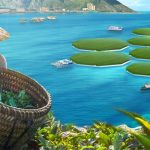 Dự kiến tới năm 2021, nhân loại sẽ có vựa lúa chịu mặn nổi trên mặt biển đầu tiên