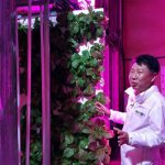 Hàn Quốc biến hầm đường bộ bỏ hoang thành trang trại rau sạch lớn nhất thế giới, tham vọng hồi sinh nền nông nghiệp