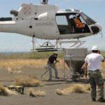 Ecuador tuyên chiến với “chuột ngoại xâm”
