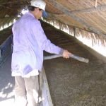 Chế phẩm sinh học từ trùn quế