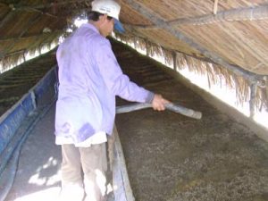 Chế phẩm sinh học từ trùn quế