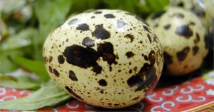 Muốn sống lâu, mỗi ngày nên ăn 5-6 trứng cút