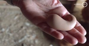 Quả trứng gà kỳ lạ, hình dạng chẳng khác nào… cục phân