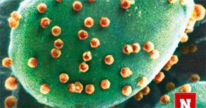 Phát hiện sinh vật đầu tiên chuyên ăn virus
