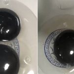 Ngỗng đẻ trứng lòng đen cực hiếm gây xôn xao