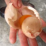 Trứng trong trứng ở Quảng Ngãi