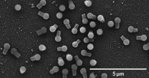 Virus khổng lồ mới được phát hiện có thể thay đổi định nghĩa của chúng ta về virus