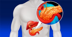 Tuyến tụy là gì? Chúng hoạt động như thế nào?
