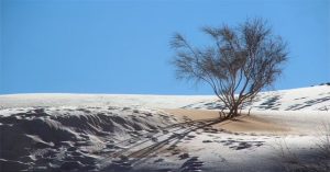 Tuyết hiếm gặp phủ trắng sa mạc Sahara