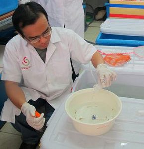 Đăng ký sáng chế vaccine cho cá