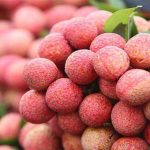 Bí quyết chọn mua vải thiều ngon
