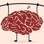 Vận động trí óc thật nhiều có giúp chúng ta đốt cháy lượng calo dư thừa?