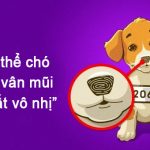 Nếu con người có vân tay thì mỗi chú chó lại sở hữu vân mũi cực đặc biệt đấy!