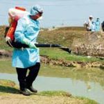 Các địa phương tổ chức vệ sinh môi trường phòng cúm A/H5N1