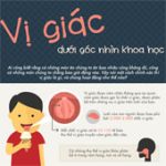 Vị giác dưới góc nhìn khoa học