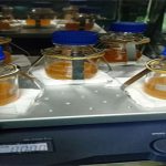 Việt Nam tạo chủng gốc sản xuất vắc xin phòng bệnh viêm phổi ở lợn