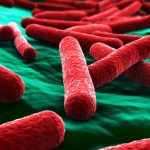 Phát minh ra vật liệu tiêu diệt vi khuẩn E.coli trong 30 giây