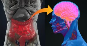 Top 8 bộ phận cơ thể ẩn giấu nhiều điều thú vị mà đến chính bản thân bạn cũng không hề biết