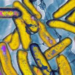 Thêm hai ký tự mới vào bộ mã gene