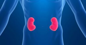 Viêm cầu thận cấp: Triệu chứng, nguyên nhân và cách phòng tránh