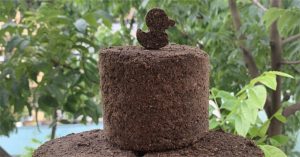 Sinh viên chế tạo viên nén từ bã cà phê làm chất đốt