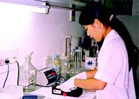 Virus H5N1 đã có những đột biến gen độc tính cao