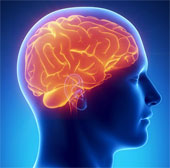 Não người trầm cảm “lạc nhịp” với thế giới bên ngoài