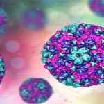 Virus gây bệnh nhẹ ở người trưởng thành nhưng khến thai nhi dị tật tim