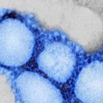 Cảnh báo nguy cơ bùng dịch từ virus mới giống SARS