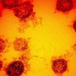 Australia phát triển vaccine mRNA đầu tiên