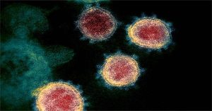 Tìm thấy xúc tu nguy hiểm trong cấu tạo của virus gây Covid-19
