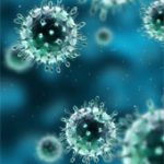 Tạo thành công virus cúm chết người trong phòng thí nghiệm