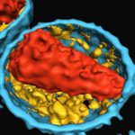 Đột phá trong nghiên cứu vắcxin phòng, chống HIV