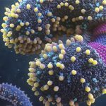 Nhiều phát hiện mới đáng lo: Virus ngày càng nguy hiểm với loài người