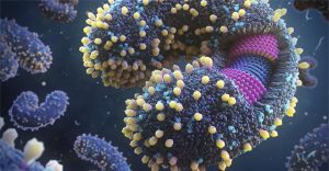 Nhiều phát hiện mới đáng lo: Virus ngày càng nguy hiểm với loài người