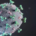 Virus SARS-CoV-2 đột biến để trốn hệ miễn dịch
