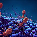 Phát hiện loại virus khổng lồ “ăn sống” vi khuẩn