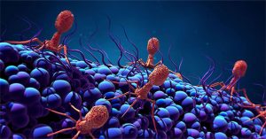 Phát hiện loại virus khổng lồ “ăn sống” vi khuẩn