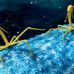 Có thể bạn chưa biết: Ruột người chứa hơn 140.000 loài virus