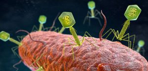 Phát hiện hơn 40.000 virus mới trong ruột người
